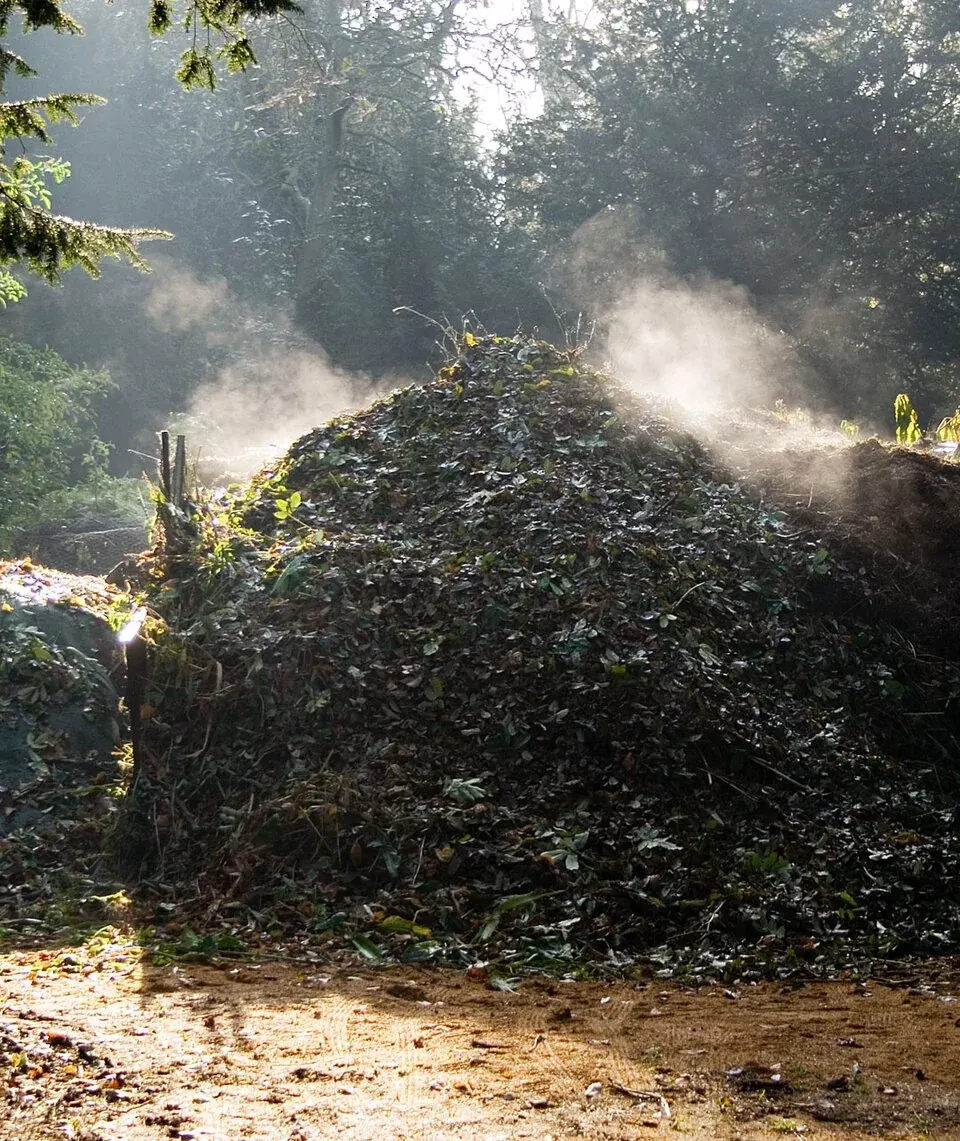 Steam rising above a compost heap on a frosty morning