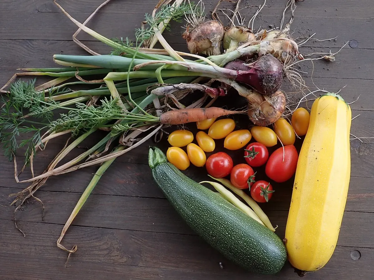 Fresh onions, tomatoes and squash arranged on a table; ingredients shown for context
