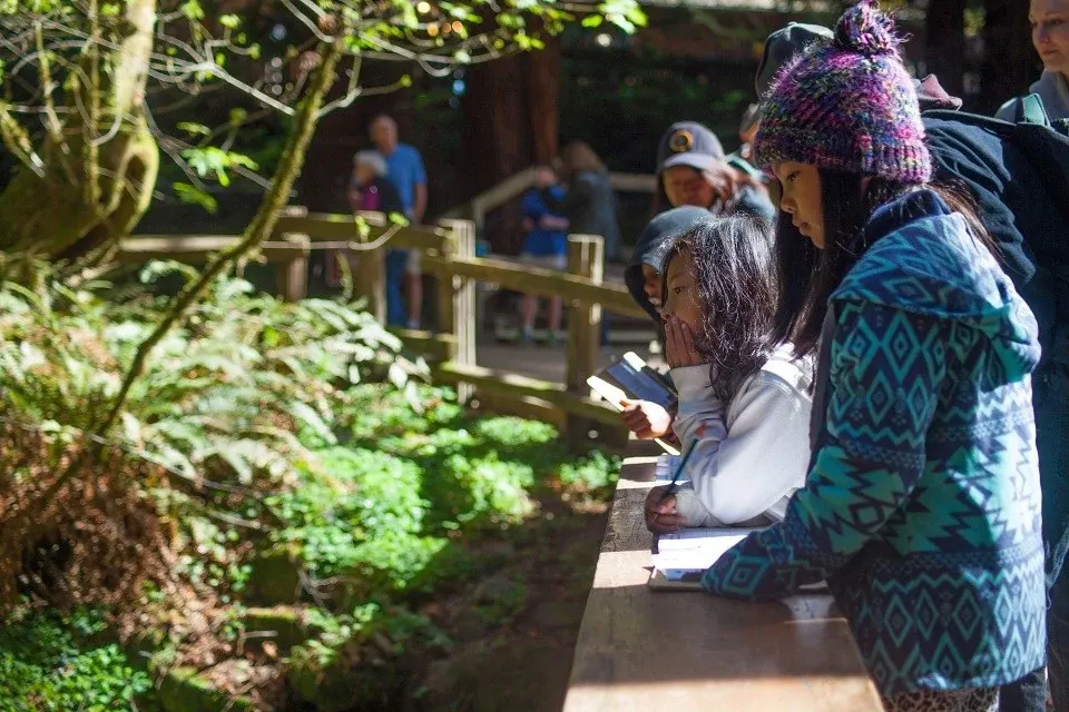 Children looking over a railing into the redwood forest at Muir Woods National Monument