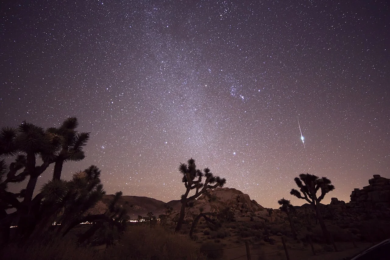 A single meteor streak in a star-filled sky above silhouetted Joshua trees and boulders